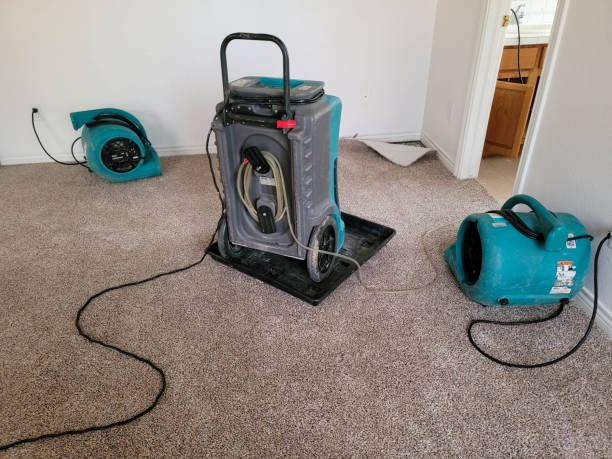 Best Basement water damage restoration  in Monrovia, IN