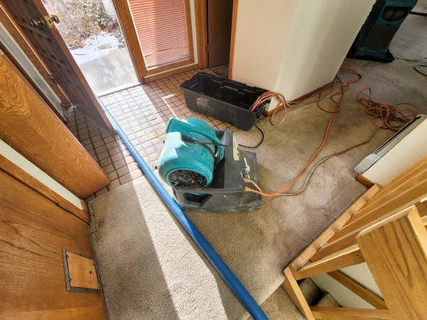 Monrovia, IN Water damage restoration Company